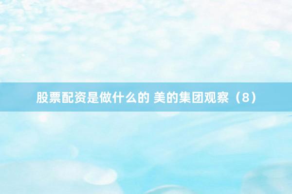 股票配资是做什么的 美的集团观察（8）