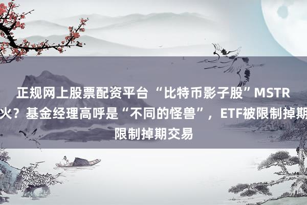 正规网上股票配资平台 “比特币影子股”MSTR有多火？基金经理高呼是“不同的怪兽”，ETF被限制掉期交易